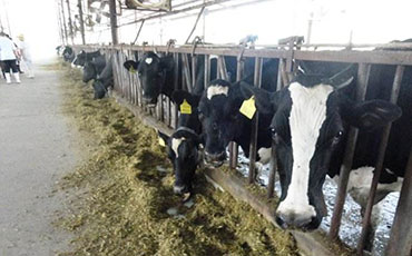 新東機(jī)械制冷罐冷藏鴨血，保障食品安全與品質(zhì)